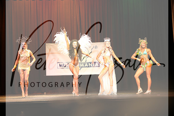 6N8A1335