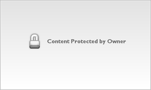 Bombshell Fitness - Team Shots 12.8.24